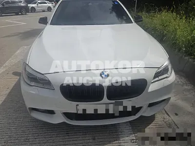 2015, BMW / 520, 183176 км., diesel