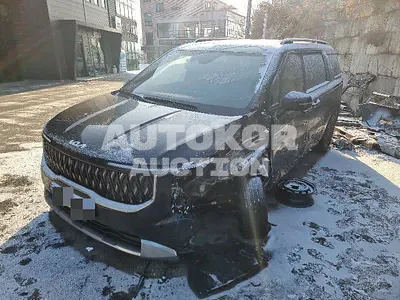 2025, Kia / Carnival, 20000 км., diesel, 2200 куб.см.