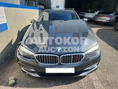 2019, BMW / 520i, VIN: WBAJK7102KBP74602, 90848 км., gas