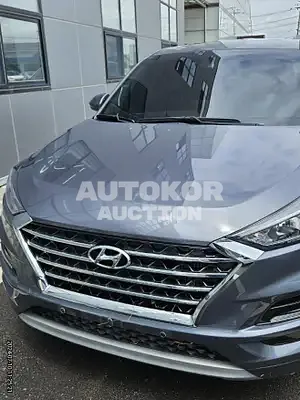 2020, Hyundai / Tucson, 116167 км., diesel