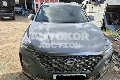 2019, Hyundai / Santa FE, VIN: KMHS381CDKU016600, 158606 км., diesel, 2200 куб.см.