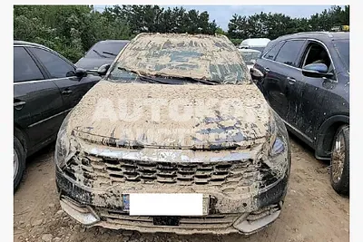 2022, Kia / Sportage, VIN: KNAPV81BGNK017900, gas