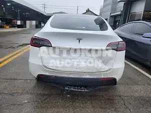 2023, Tesla / Model Y, VIN: LRWYGCFS8RC206846, 3406 км., electric