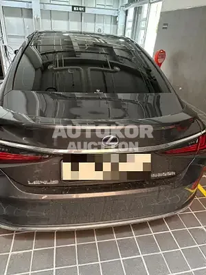 2022, Lexus / ES 300, VIN: JTHBA1C13N2010371, 32274 км., hybrid