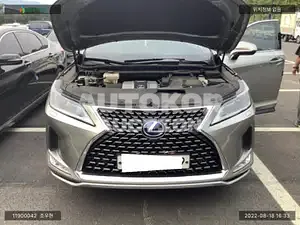 2020, Lexus / RX 450, VIN: JTJBGMCA1L2061766, hybrid