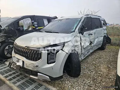 2025, Kia / Carnival, diesel, 2200 куб.см.
