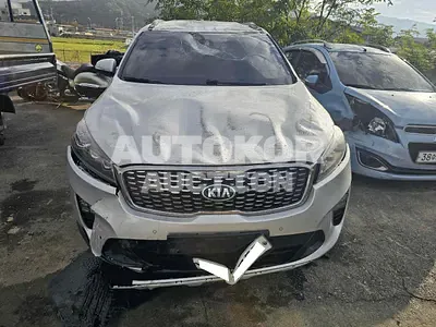 2018, Kia / Sorento, VIN: KNAPS81ABKA538980, 54985 км., diesel, 1995 куб.см.