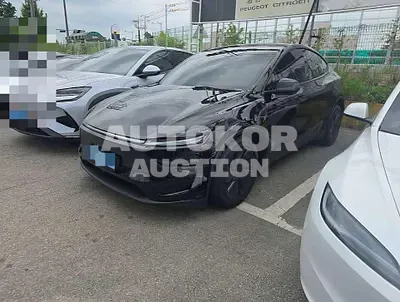 2026, Tesla / Model Y, 3000 км., electric, 180 куб.см.
