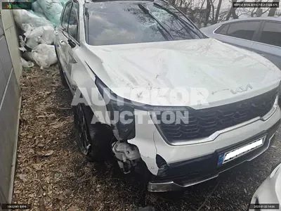 2024, Kia / Sorento, VIN: KNARJ81FGRA316245, gas