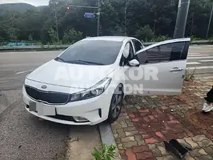 2017, BMW / Z1, 50000 км., gas, 1591 куб.см.