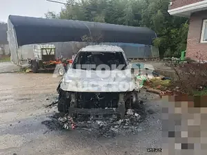 2020, Hyundai / Santa FE, 160000 км., diesel