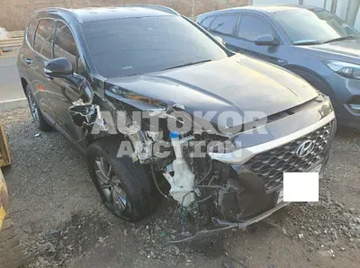 2019, Hyundai / Santa FE, VIN: KMHS281BDKU150068, 353336 км., diesel, 2000 куб.см.