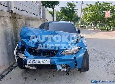 2017, BMW / M2, VIN: WBS1H9107H7A17957, gas