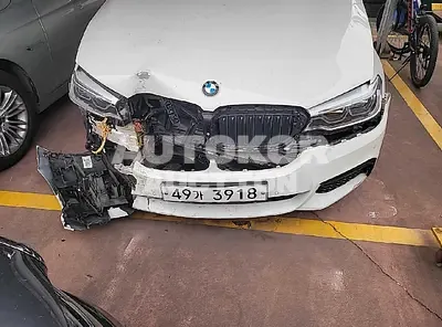 2017, BMW / 520, VIN: WBAJC3106HG466043, 54153 км., diesel