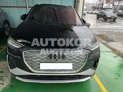 2022, Audi / q4 e-tron, 96749 км., electric