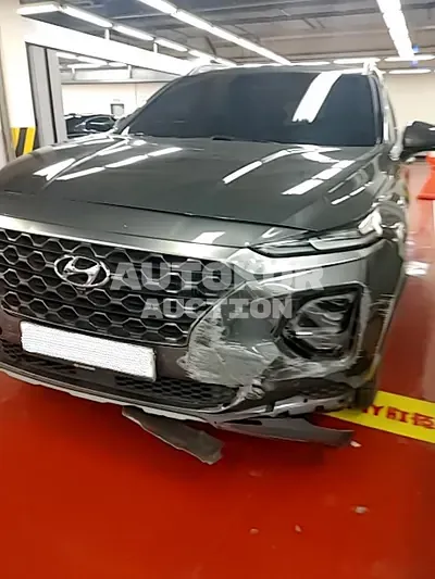 2019, Hyundai / Santa FE, VIN: KMHS381BBKU162986, diesel