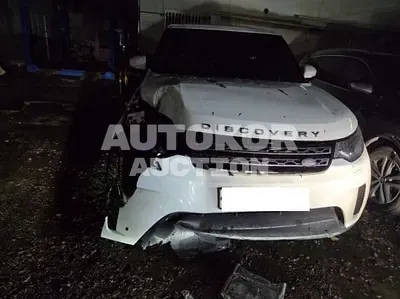 2019, Land Rover / Discovery, VIN: SALRA2BN3KA094650, 80139 км., diesel