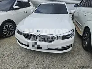 2019, BMW / 520, gas