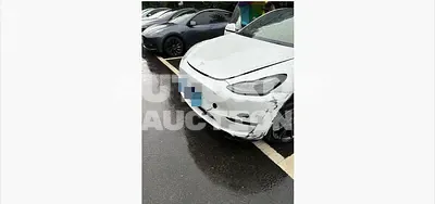 2024, Tesla / Model Y, electric, 173 куб.см.