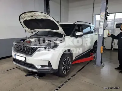 2021, Kia / Carnival, VIN: KNANE81BBMS045544, diesel