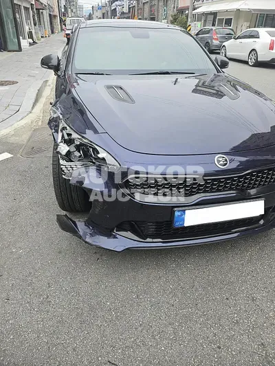 2018, Kia / Stinger, VIN: KNAE351ADKS042385, gas