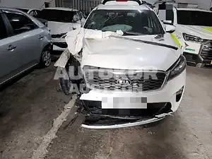 2019, Kia / Sorento, VIN: KNAPS81BBLA570113, diesel