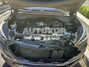 2016, Hyundai / Santa FE, VIN: KMHSW81UBGU628221, diesel