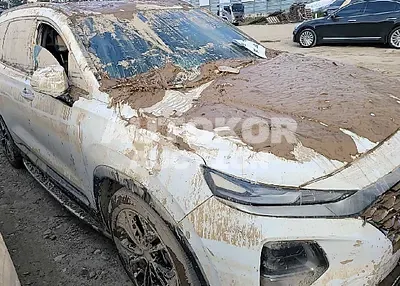 2019, Hyundai / Santa FE, VIN: KMHS381ADKU132219, gas