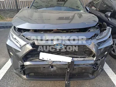 2020, Toyota / RAV4, VIN: JTMW2RFV1MD068799, hybrid