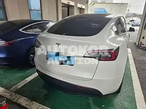 2023, Tesla / Model Y, VIN: LRWYGCFS8RC206099, 2000 км., electric