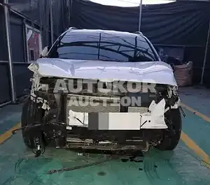 2018, Hyundai / Santa FE, VIN: KMHS581BBKU076768, diesel