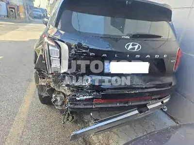 2023, Hyundai / Palisade, diesel, 2200 куб.см.