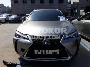 2021, Lexus / UX 250, VIN: JTHP6JBH3M2104447, 4509 км., hybrid, 1987 куб.см.
