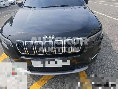 2019, Jeep / Cherokee, 113960 км., diesel, 2200 куб.см.