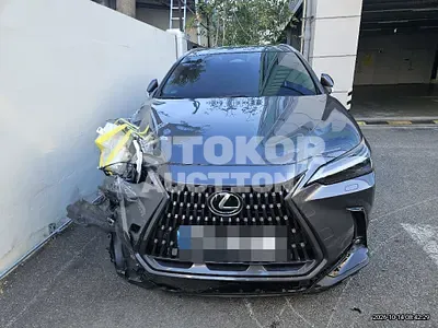 2025, Lexus / nx, 17046 км., hybrid