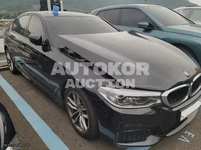 2017, BMW / 520, VIN: WBAJC5103HG851944, 222363 км., diesel