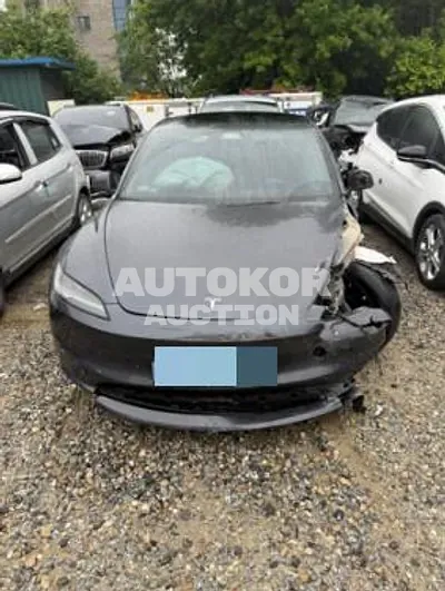 2025, Tesla / Model 3, electric