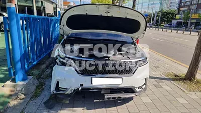 2021, Kia / Carnival, VIN: KNANE81BBMS073945, 168793 км., diesel, 2151 куб.см.