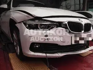 2017, BMW / 320, 91000 км., diesel, 1995 куб.см.
