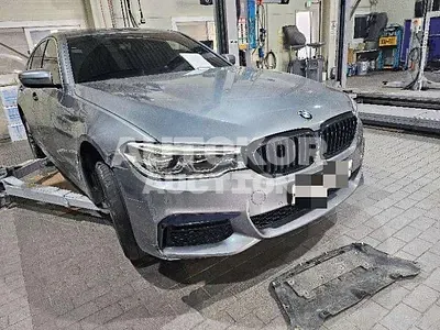 2019, BMW / 520, VIN: WBAJF3101KBJ09266, diesel