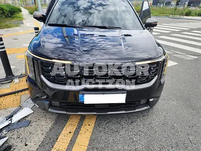 2026, Kia / Carnival, VIN: KNANE813BTS668904, gas, 3470 куб.см.