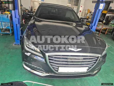 2017, Genesis / G80, VIN: KMHGL41DDJU251019, 226384 км., gas, 3342 куб.см.