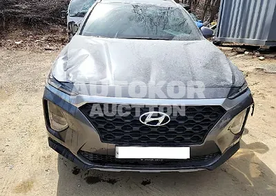 2019, Hyundai / Santa FE, VIN: KMHS281BBKU176591, 40068 км., diesel