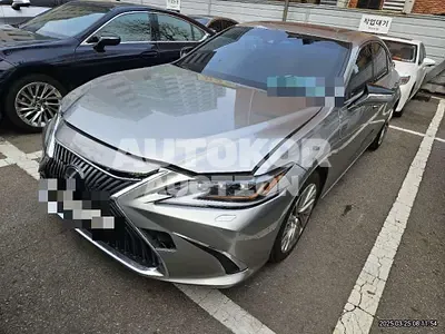 2019, Lexus / ES 300, hybrid