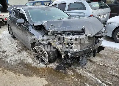 2020, Kia / K5, VIN: KNAG341ABLA043929, gas
