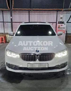 2019, BMW / 520, VIN: WBAJF5107KWW51458, 51000 км., diesel