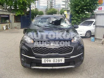 2019, Kia / Sportage, VIN: KNAPN813BKK625491, diesel