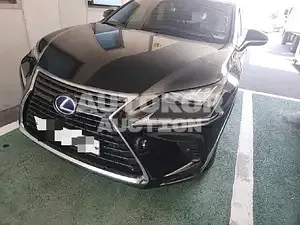2017, Lexus / NX 300, 44290 км., hybrid, 2494 куб.см.