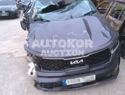 2022, Kia / Sorento, 81344 км., diesel, 2200 куб.см.
