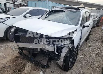 2021, Hyundai / Santa FE, VIN: KMHS581HGMU396744, diesel